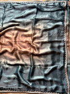 Mayuri Love Embellished Saree