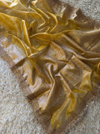 Doyna Banarasi Silk Saree